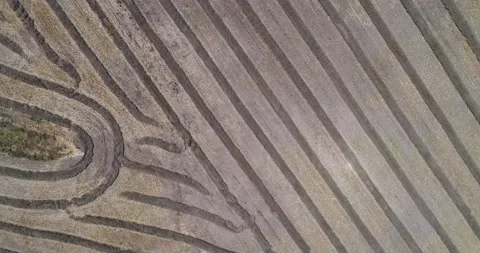Pattern of lines &amp; circles from haystacks on harvested wheat fields aerial 4k Stock Footage 159570619
