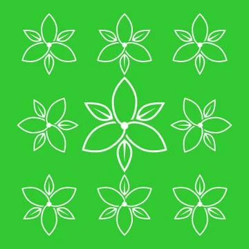 Pattern lines flower jasmine white design vector Stock Illustration