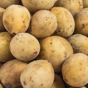 Pattern of longkong Stock Photos