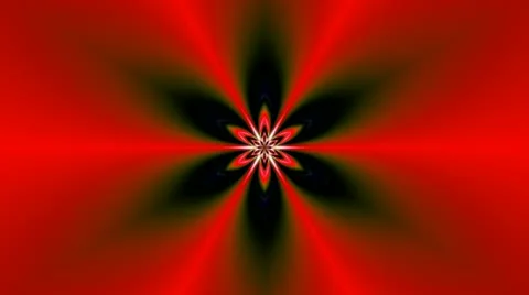 Pattern - a lotus Stock Footage 16579344