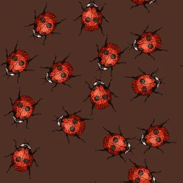 Pattern love ladybug sketch hand drawn Stock Illustration