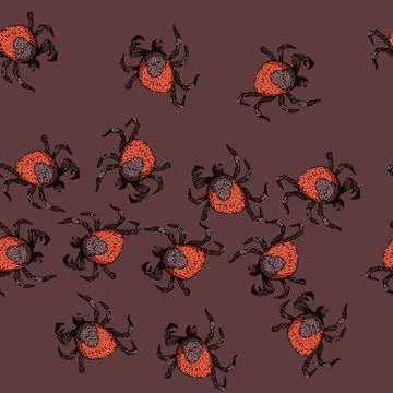 Pattern lyme tick sketch hand drawn Illustrazione stock