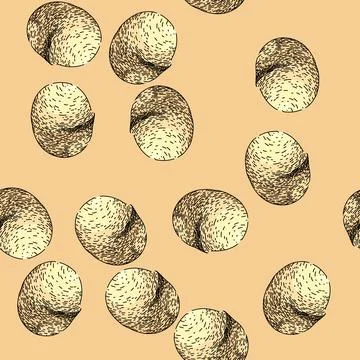 Pattern macadamia nut crack sketch hand drawn Stock Illustration