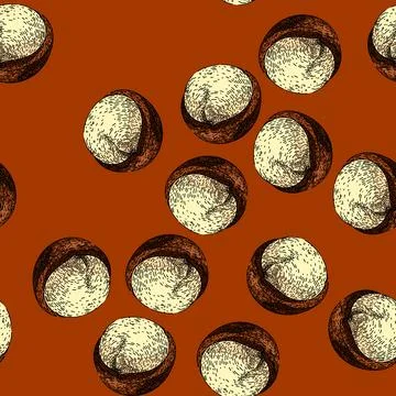 Pattern macadamia nut food sketch hand drawn Stock Illustration