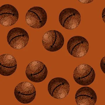 Pattern macadamia nut oil sketch hand drawn Stock Illustration