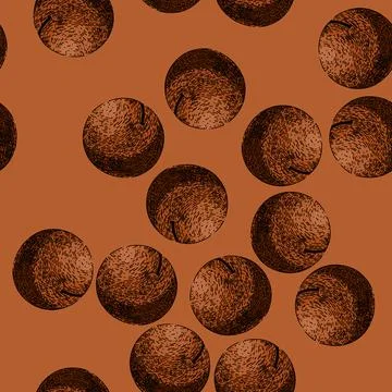 Pattern macadamia nut sketch hand drawn Stock Illustration