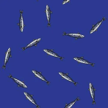 Pattern mackerel fish sketch hand drawn Stock Illustration