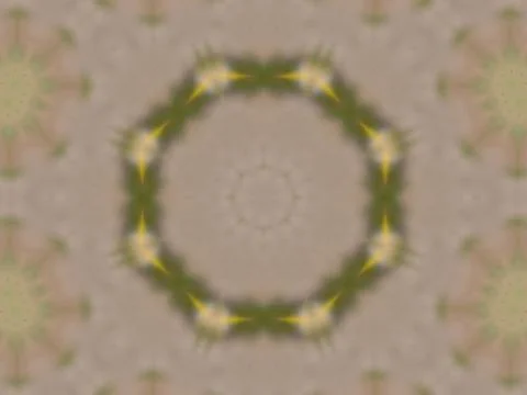 Pattern of Macro marigold orange flower Illustrazione stock