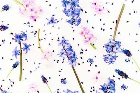 Pattern made of blue or pink flowers and petals, floral pattern on white back Foto stock