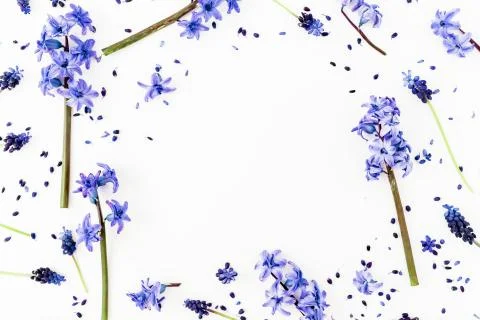Pattern made of blue spring flowers and petals, floral pattern on white backg Foto stock