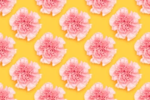 Pattern made of carnation flower on a yellow background. Stock Photos