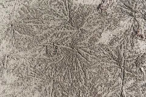 Pattern made by crabs on the Labuan beach, Malaysia 스톡 사진