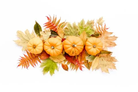 Pattern made of dry autumn leaves, Pumpkins and cotton. Fall flat lay. Top view 写真素材