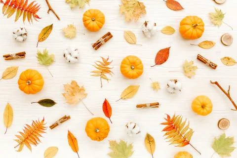 Pattern made of dry autumn leaves, Pumpkins and cotton. Fall flat lay. Top view 写真素材