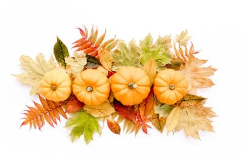 Pattern made of dry autumn leaves, Pumpkins and cotton. Fall flat lay. Top view Stock Photos