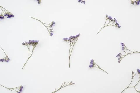 Pattern made of  dry flowers on table Stock Photos