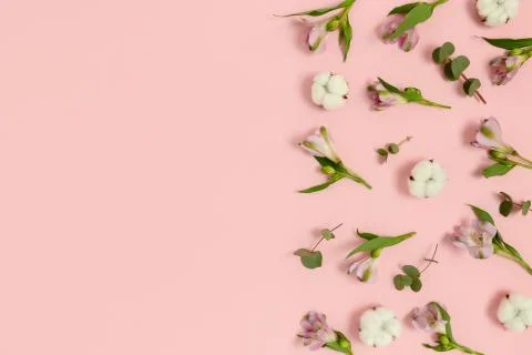 Pattern made of eucalyptus, cotton, alstroemeria flowers. Stock Photos
