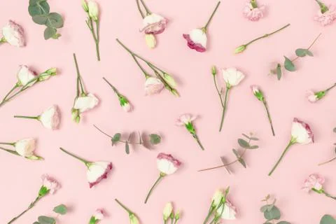 Pattern made of eustoma, carnation flowers and eucalyptus Stock Photos