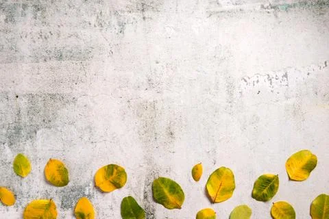 Pattern made of fall leaves on concrete background, autumn concept. Flat lay, Foto stock