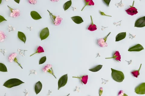 Pattern made of flowers and green leaves. Stock Photos