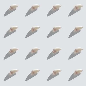 Pattern made of garlic cloves Stock Photos