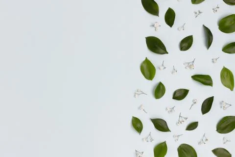 Pattern made of green leaves and flowers on a blue pastel background. Stock Photos