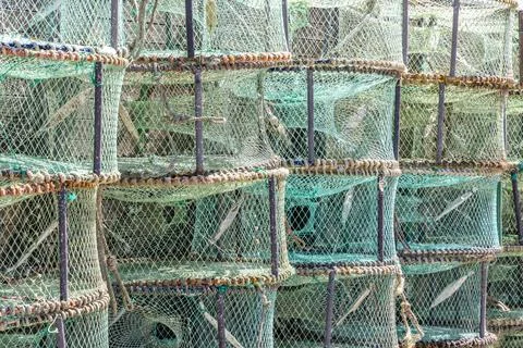Pattern made of green traps used in Portugal to catch octopus and crabs Stock Photos