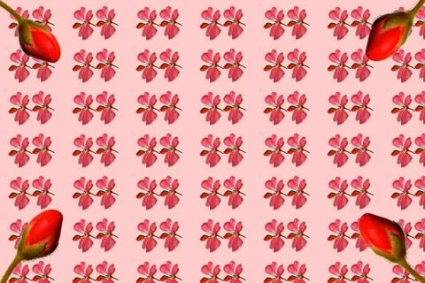 Pattern made with growth concept, the bud grows into a flower Stock Illustration