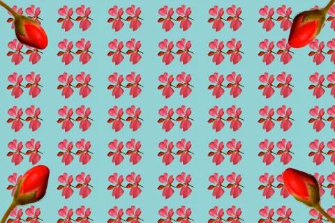 Pattern made with growth concept, the bud grows into a flower Stock Illustration