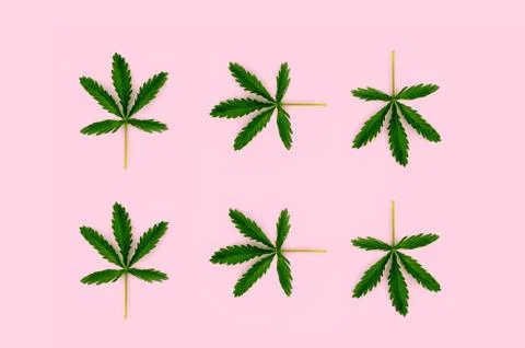 Pattern made from hemp leaf isolated on pink background. Stock Illustration