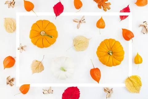 Pattern made of pumpkins dried flowers and leaves Creative Top view flat l... Stock Photos