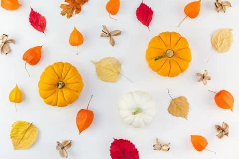 Pattern made of pumpkins dried flowers and leaves Stock Photos