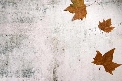 Pattern made of red and yellow fall leaves on concrete background, autumn con Foto stock
