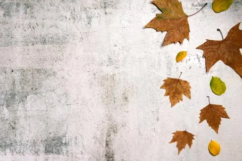 Pattern made of red and yellow fall leaves on concrete background, autumn con Stock Photos