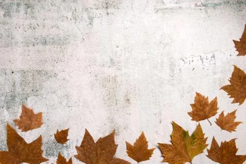 Pattern made of red and yellow fall leaves on concrete background, autumn con Stock Photos