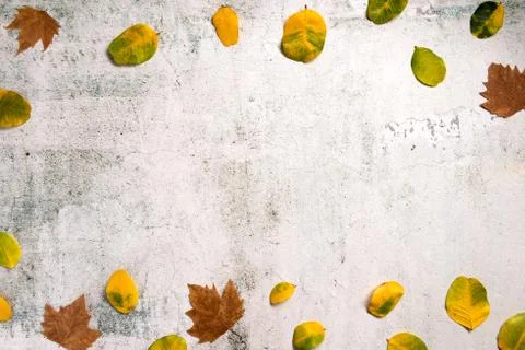 Pattern made of red and yellow fall leaves on concrete background, autumn con Stock Photos