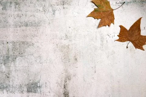 Pattern made of red and yellow fall leaves on concrete background, autumn con Stock Photos