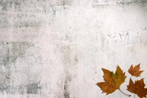Pattern made of red and yellow fall leaves on concrete background, autumn con Stock Photos
