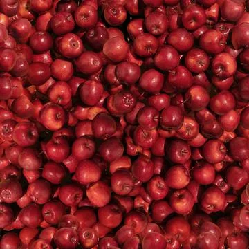 Pattern made from red apples. Top view, flat design. Healthy food. Stock Photos