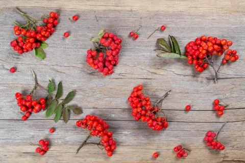 Pattern made of rowan berries on on rustic wooden background. Flat lay Foto stock