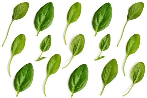 Pattern made of spinach. Stock Photos