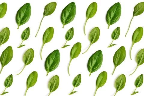Pattern made of spinach. Stock Photos