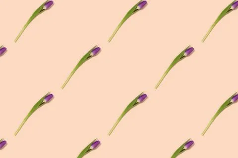 Pattern made of tulip flowers on a beige background. Stock Photos