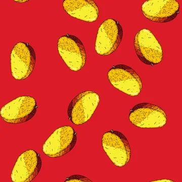 Pattern mango fruit cut sketch hand drawn Stock Illustration