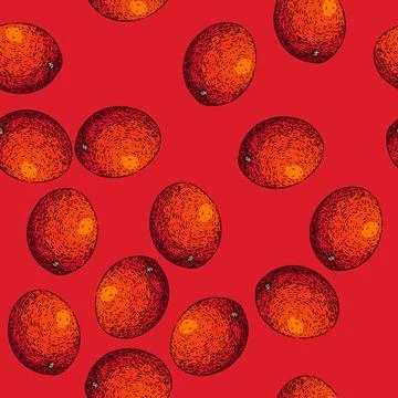 Pattern mango fruit ripe sketch hand drawn Stockillustratie
