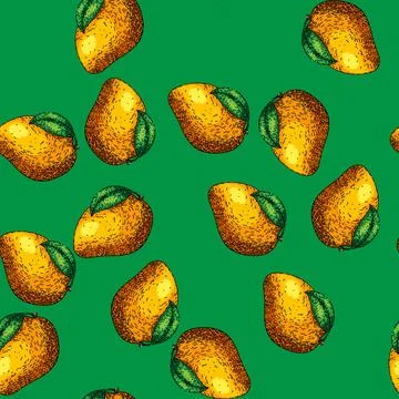 Pattern mango fruit yellow sketch hand drawn イラスト素材