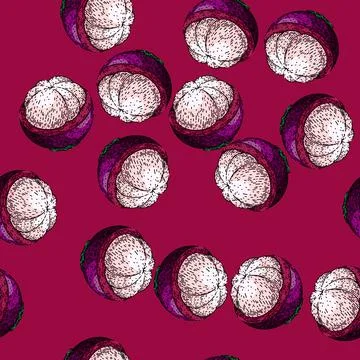 Pattern mangosteen fruit fresh sketch hand drawn Stock Illustration