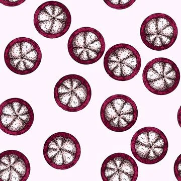 Pattern mangosteen organic fruit sketch hand drawn Stock Illustration