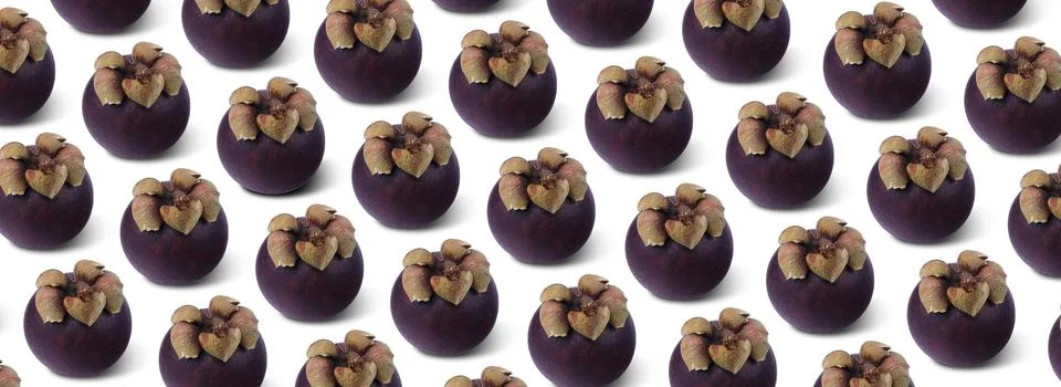 Pattern with mangosteen. Stock Photos