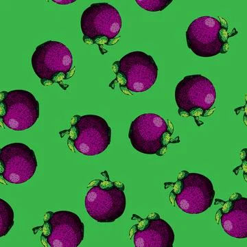 Pattern mangosteen purple fruit sketch hand drawn Stock Illustration